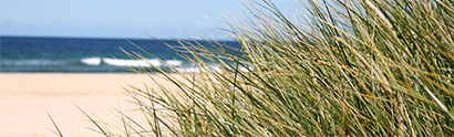 Strand und Düne: Fischerhemden für jede Umgebung